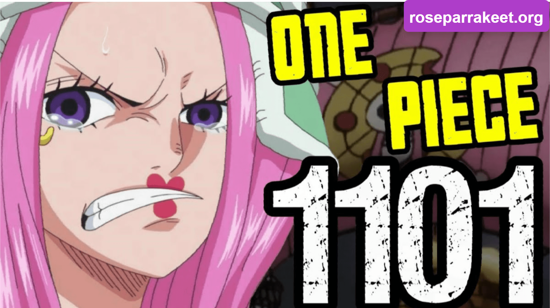 One Piece 1101 Release Date